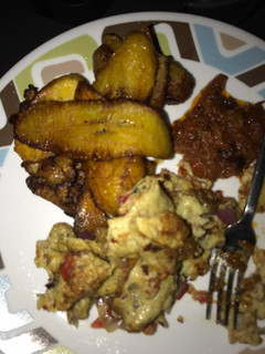 A picture of Dodo with fried egg.