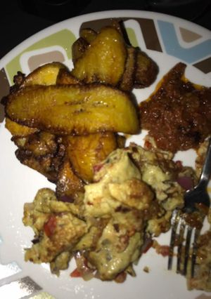 A picture of Dodo with fried egg.