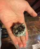 Trufas de oreo