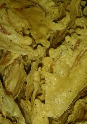 Foto resep Rempeyek teri kriuk renyah