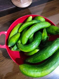 عکسی از دستور خیارشور خانگی🥒🥗.✨