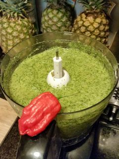 A picture of Toni's spicy sofrito.