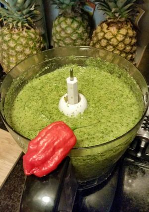 A picture of Toni's spicy sofrito.