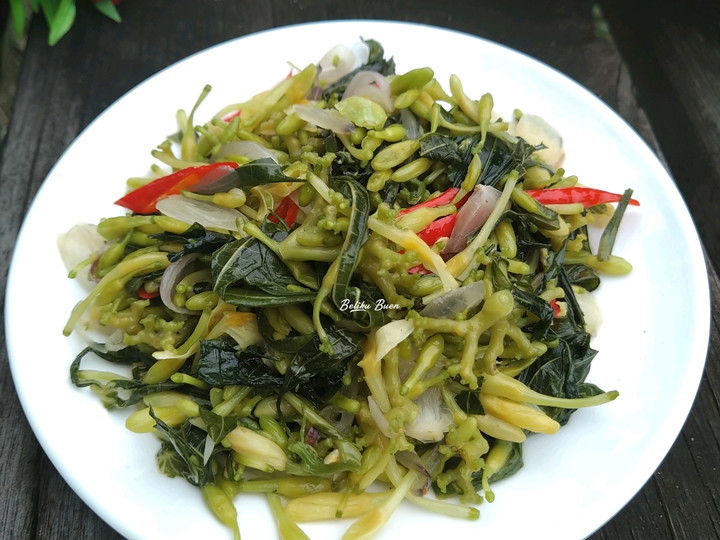 Langkah Mudah untuk Menyiapkan Oseng Bunga Pepaya Anti Gagal