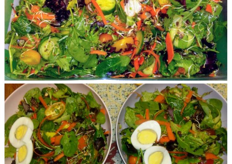 Steps to Make Homemade Protein Power Salad