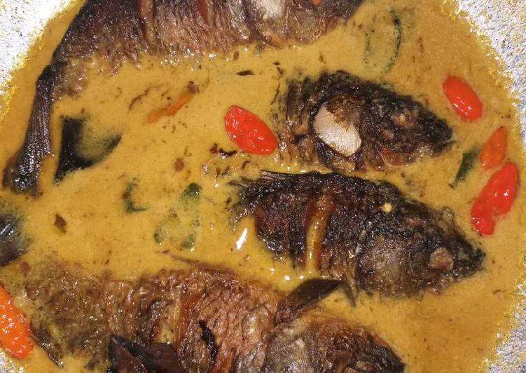 Proses memasak Ikan Mas Kuah Santan yang Sempurna
