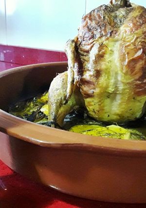 Una foto de Pollo sentado a la cerveza
