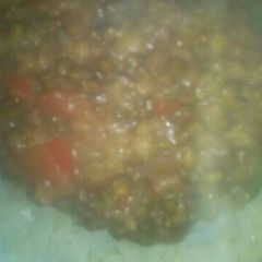 A picture of Greengrams stew and rice.
