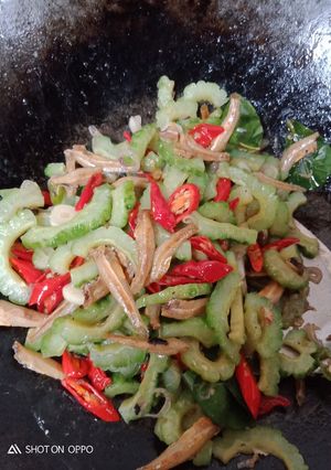 Foto resep Tumis paria teri pedas