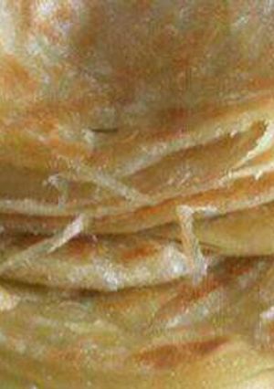 A picture of Chapatis.