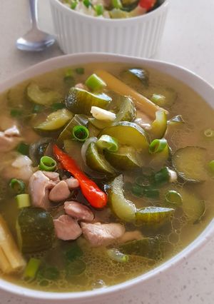 A picture of Anton Ego's Chicken & Cucumber Soup #2.