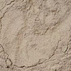 A picture of Shahi Chat masala.