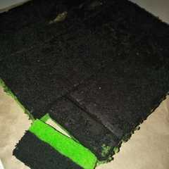 A picture of Brownis coklat pandan.
