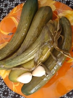 عکسی از دستور خیارشور خانگی 😍🍴