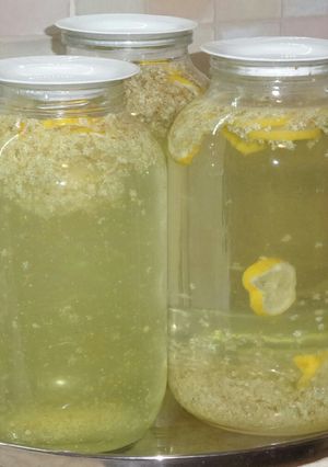Bodzalé recept fotója