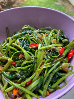 Foto resep Tumis Kangkung Saus Tiram