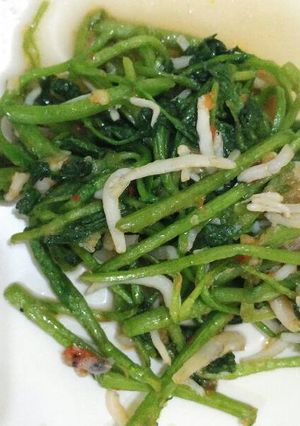 Foto resep Tumis selada+teri medan