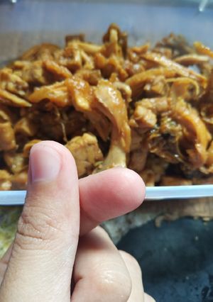 Foto resep Oseng tempe suir ayam