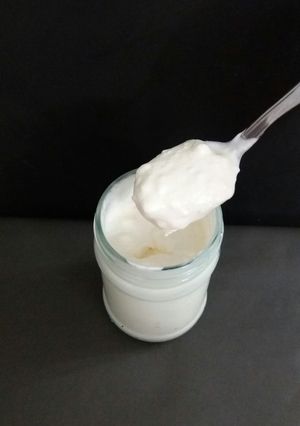 عکسی از دستور سس مایونز خانگی