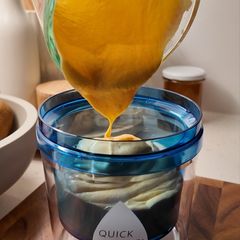 A picture of Thick Greek Yogurt with Mango.