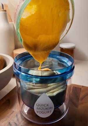 A picture of Thick Greek Yogurt with Mango.