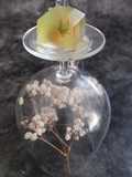 Gelatina de Pepino y Salmón