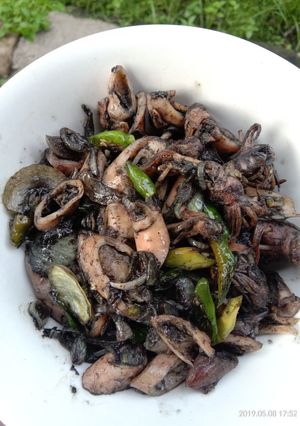Foto resep Tumis cumi asin pedas