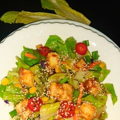 A picture of Paneer salad with teriyaki sauce.