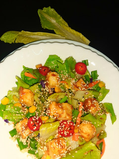 A picture of Paneer salad with teriyaki sauce.