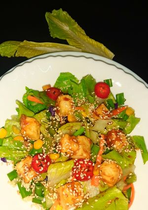 A picture of Paneer salad with teriyaki sauce.