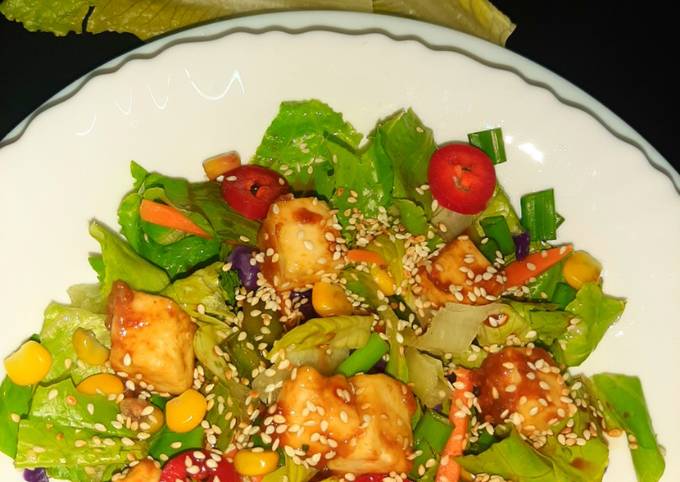 Easiest Way to Make Quick Paneer salad with teriyaki sauce