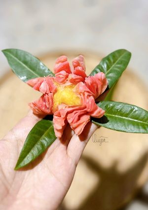 Hình của món Bánh trung thu hoa sen.