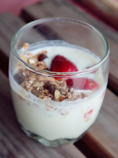 Foto resep Homemade Yogurt