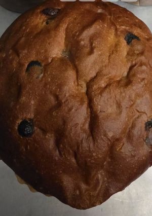 Foto de Panetone com gotas de chocolate