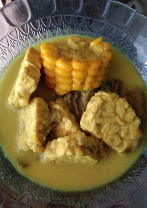 Foto resep Sayur Lodeh (tempe terong jagung)