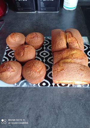 Une photo de Gâteaux madeleine