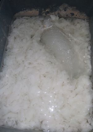 Foto resep Es Kopyor Seger