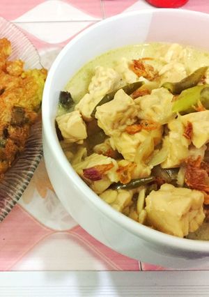 Foto resep Sayur ndeso (lodeh tempe)