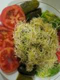 Ensalada surtida muy completa