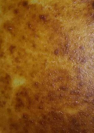 A picture of Pumpkin with Béchamel.