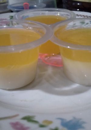 Foto resep 107. Puding 2 lapis