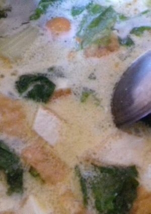 Foto resep Lodeh slobor