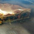 Relleno para tarta