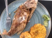 Una foto de pescado pargo