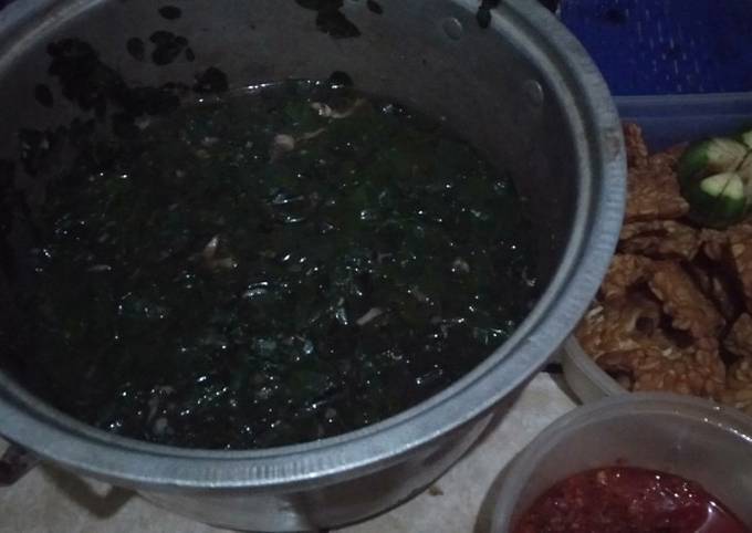 Cara Gampang Membuat Plapah daun kelor yang Lezat Sekali