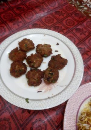 A picture of Chapli kabab.