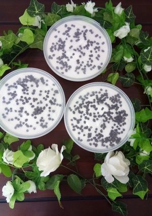 Foto resep Ice Cream