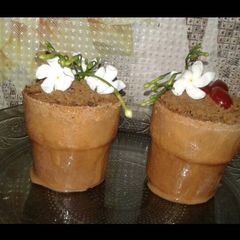Chocolate magic flower pot A picture of Chocolate magic flower pot.