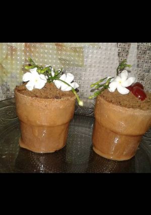 A picture of Chocolate magic flower pot.