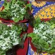 Concombre mariné crème et herbes salade feuille de chêne